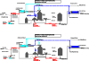 Wasserversorgung Rulfingen, Systematik